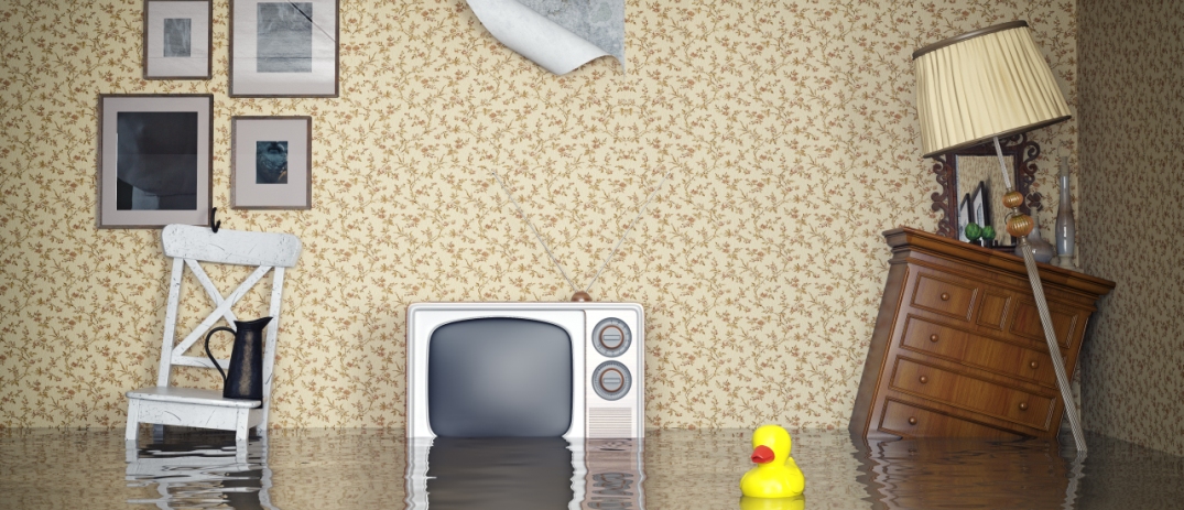 Property Management